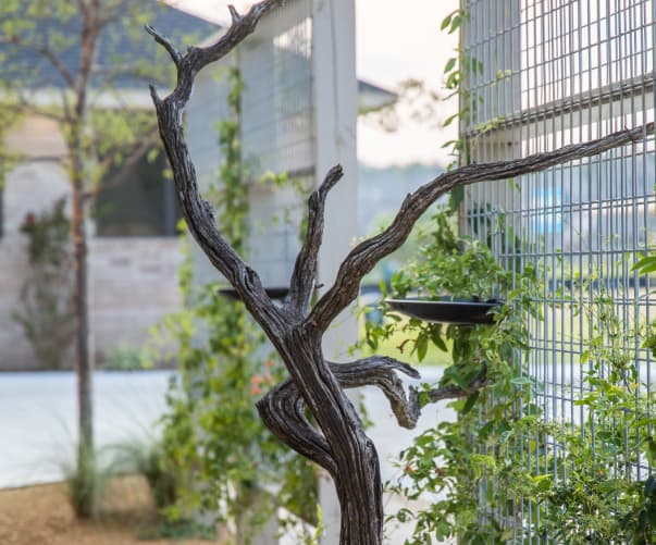 Prairie Dental office